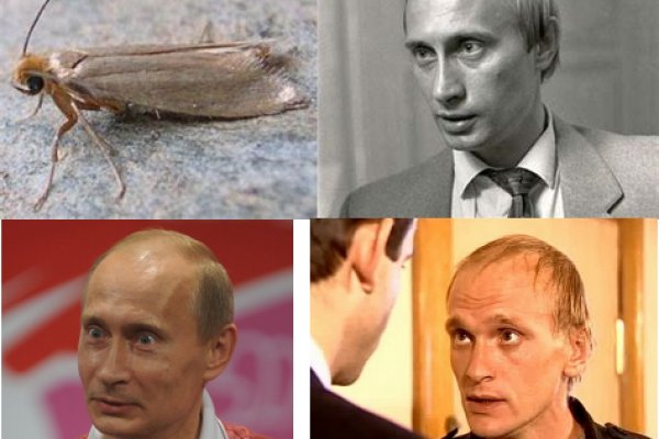 Кракен ссылка fo feng crmp ru